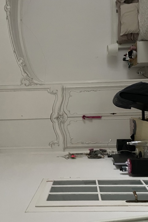 Gorgeous Flat located in the heart of Prague - 3