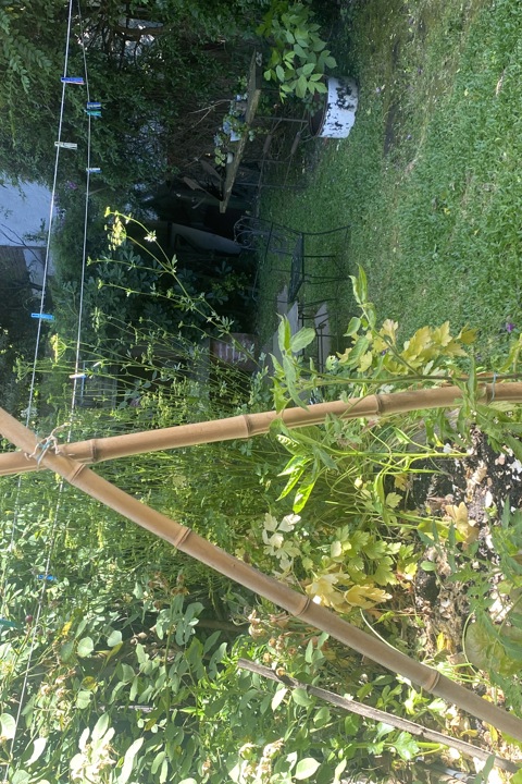 “My home is small but fully equipped, very private - 5