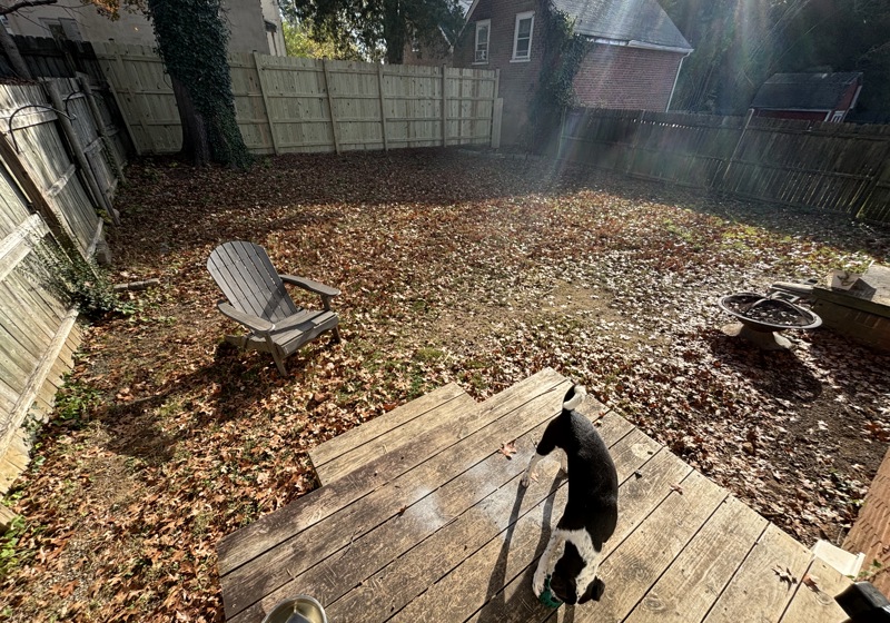 home swap in Charlottesville, Virginia