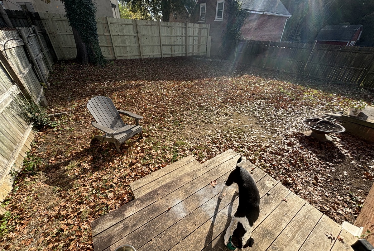 Home Sweet Charlottesville