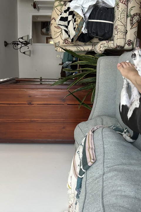 Home Sweet Charlottesville - 3