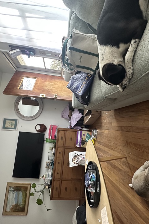 Home Sweet Charlottesville - 5