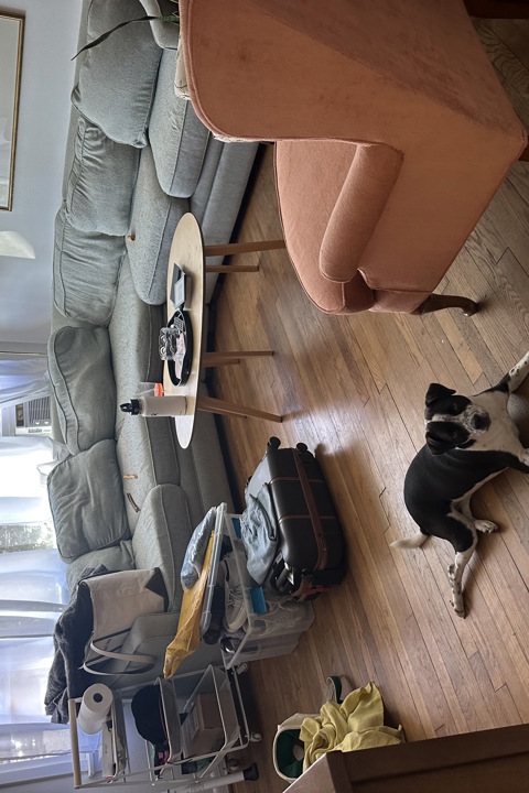 Home Sweet Charlottesville - 7