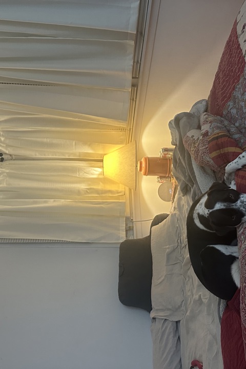 Home Sweet Charlottesville - 9