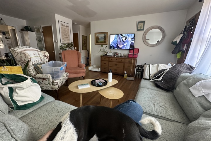 Home Sweet Charlottesville - 11