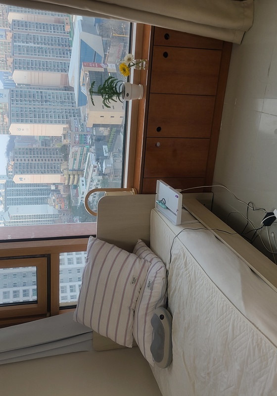 home swap in Seoul, South Korea