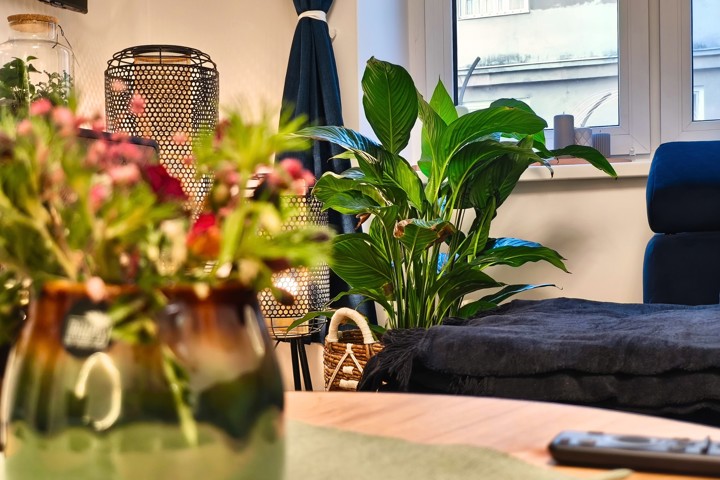Trendy home in the heart of Bratislava Old Town - 15