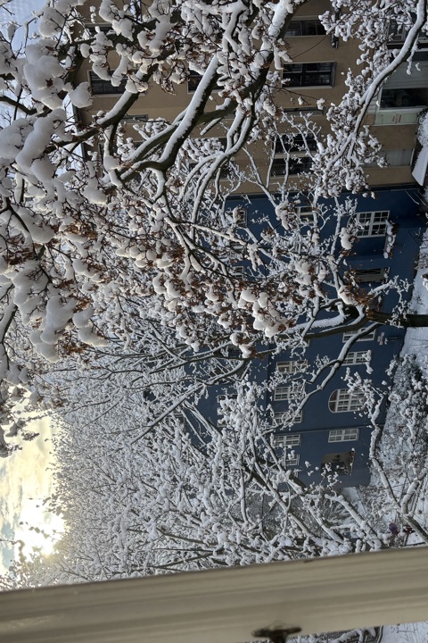 Beautiful and quiet 3-room apartment in Berlin - 7