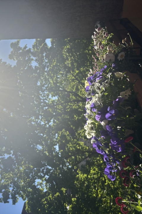 Beautiful and quiet 3-room apartment in Berlin - 8