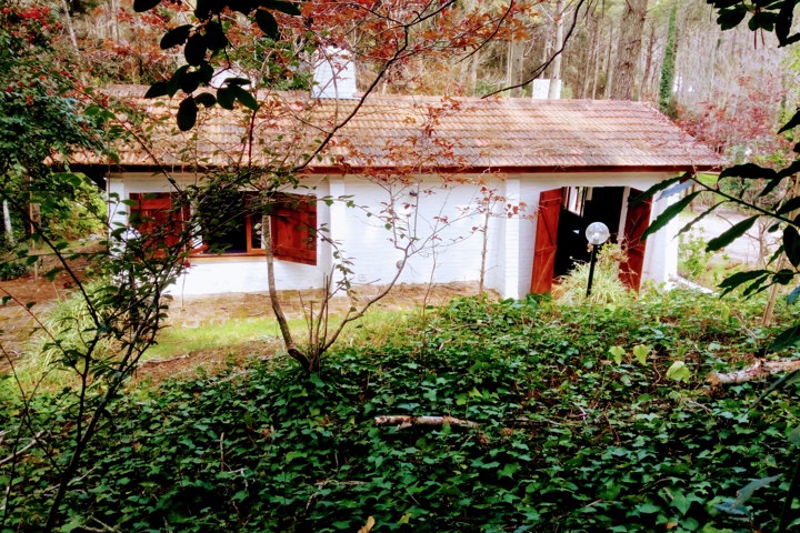 Charming beach cottage - 7