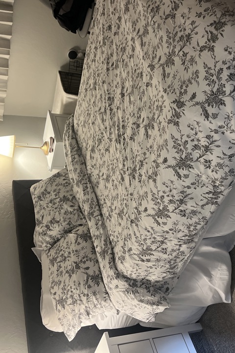 1 Bedroom Apartment with Lafayette Park Views - 3