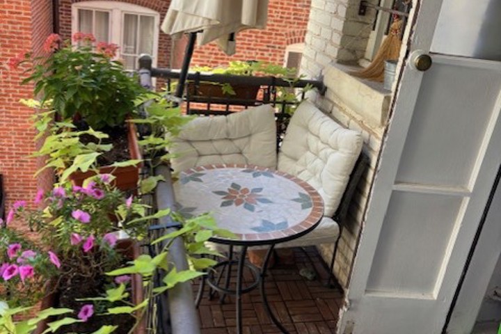 Washington DC City Experience - 5