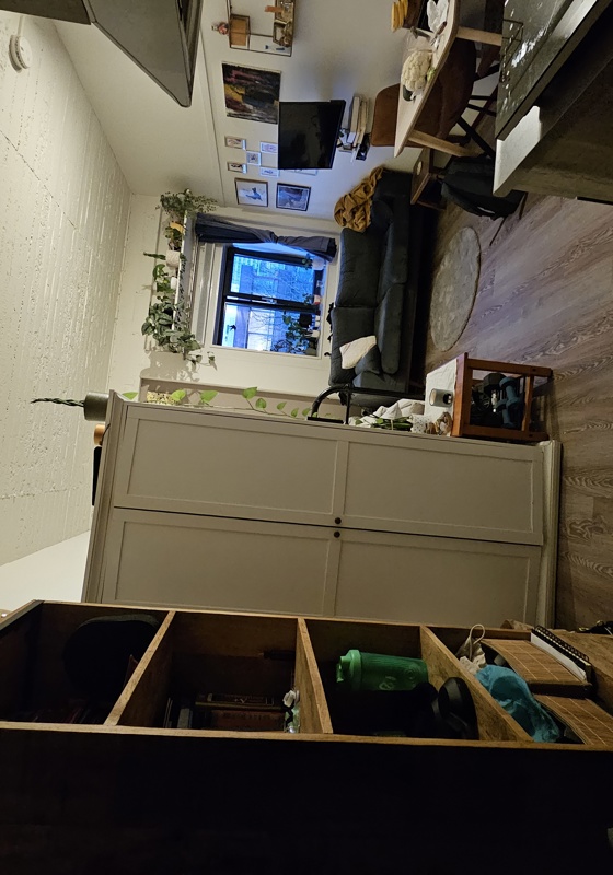 home swap in Amsterdam, The Netherlands