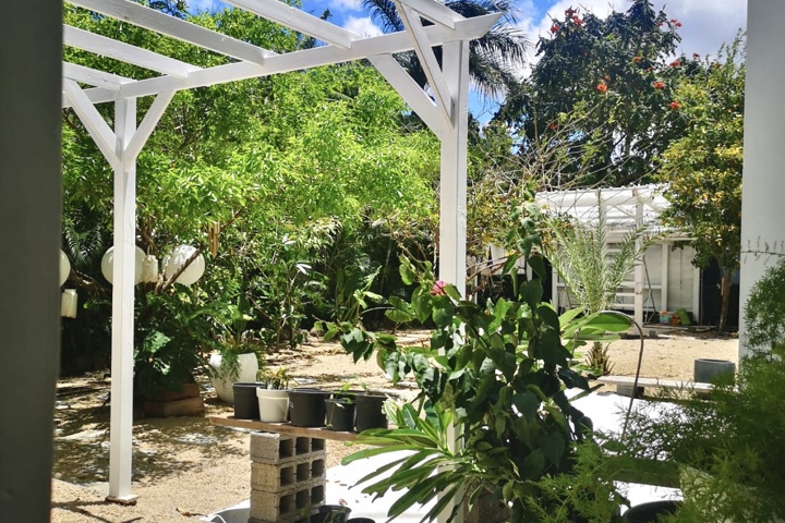 4 C’s: Cozy Comfortable Cozy Cute - 4