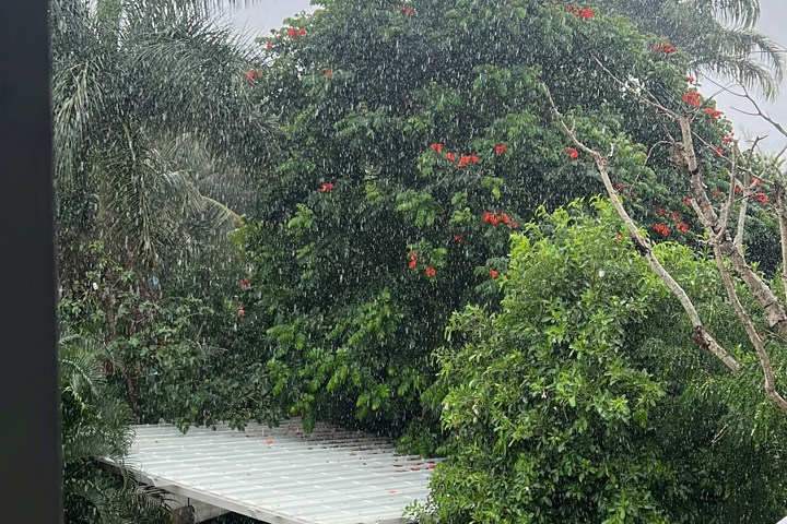 4 C’s: Cozy Comfortable Cozy Cute - 21