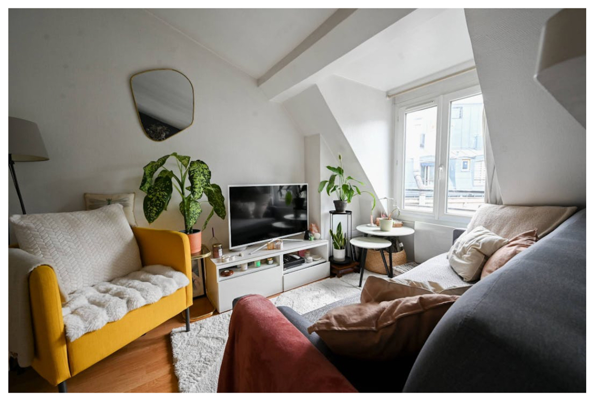 Cozy apartment under the roofs of Paris