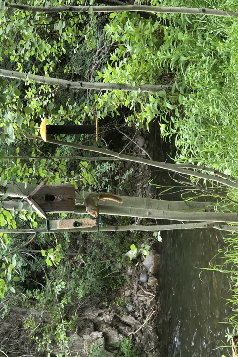 Creekside condo - 18