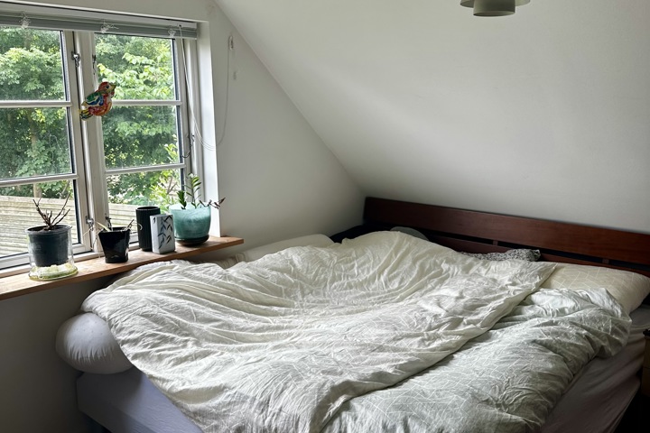 A lovely and cozy house in Gentofte - 6