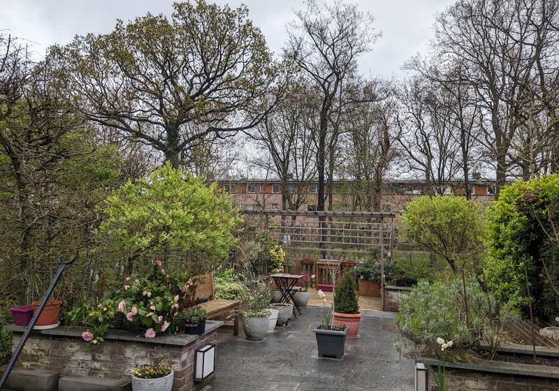 home swap in Utrecht, The Netherlands