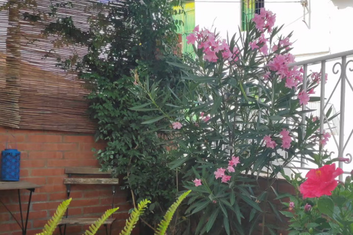 Bright townhouse in Mountain Village with sea view - 11