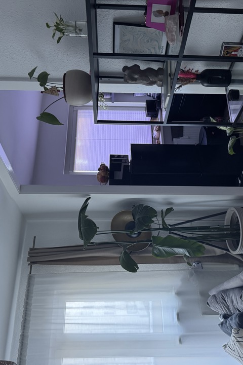 Cozy & Quiet Berlin Studio with Balcony – Safe, Gr - 1