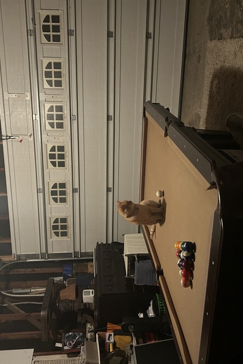 Nice home in a perfect SF Bay Area location - 9