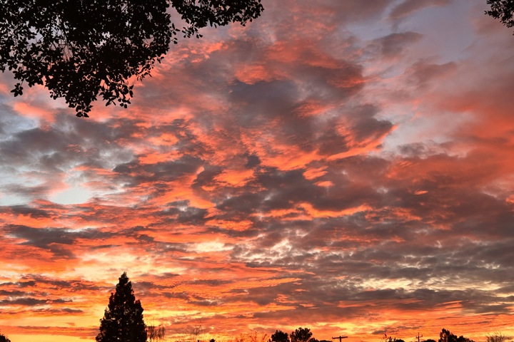 Nice home in a perfect SF Bay Area location - 14