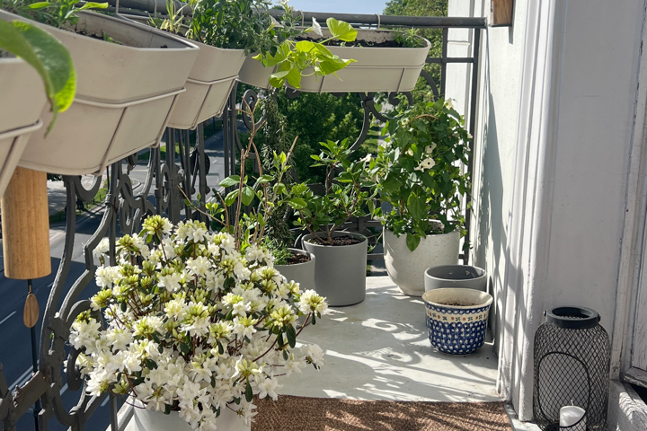 Amazing Artistic&Historic Apartment In City Centre - 15