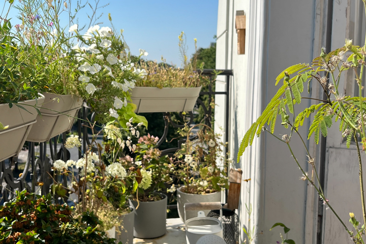 Amazing Artistic&Historic Apartment In City Centre - 24