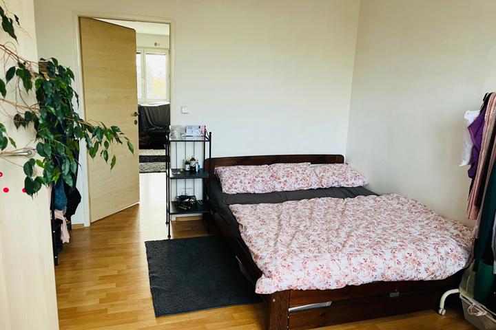 Cosy Appartment near city centre - 2