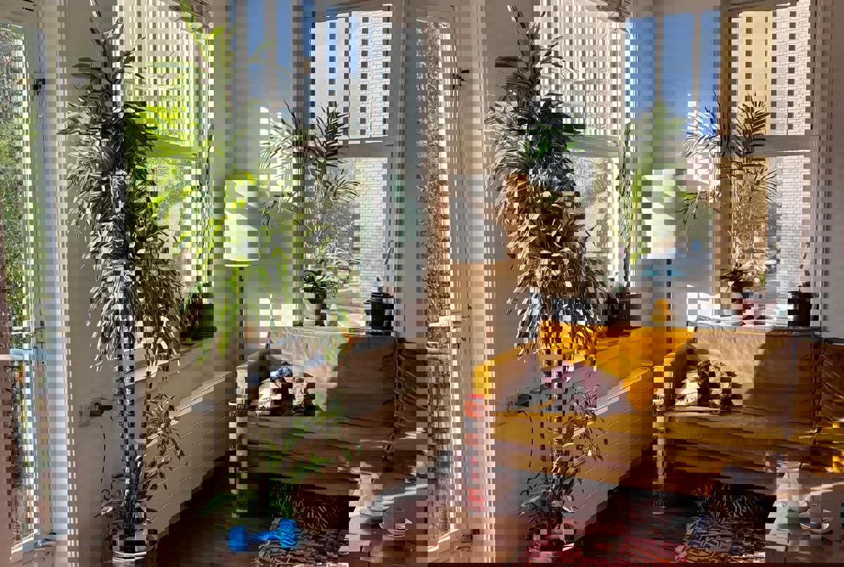 Cosy and bright apartment with two balconies