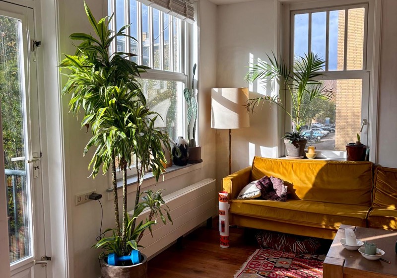 home swap in Amsterdam, The Netherlands