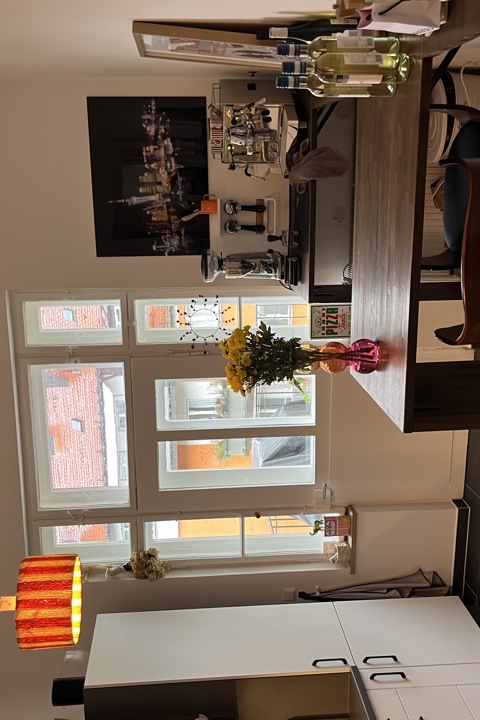 Big Flag in Munich Schwabing - 1