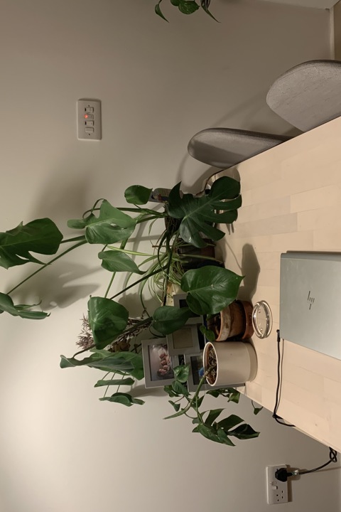 Beautiful, modern flat near Camden & King's Cross - 6