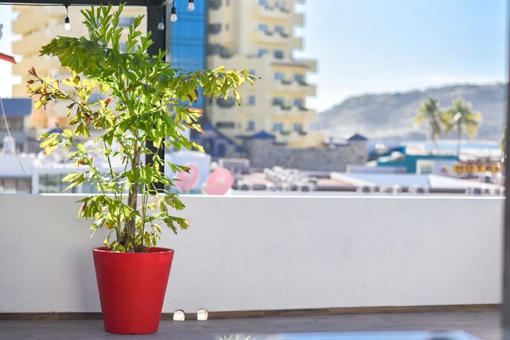 Ground floor apartment near the beach, restaurant - 2