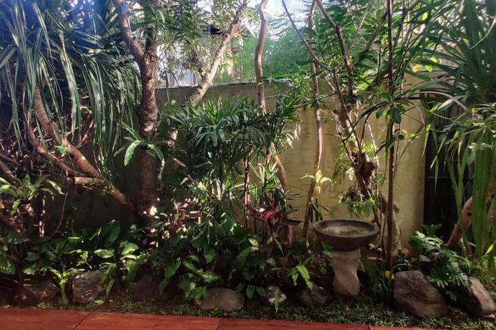 KAME HOUSE - 27