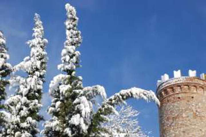 Torre Montefollonico - 17