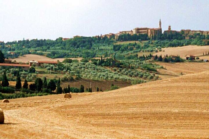 Torre Montefollonico - 18