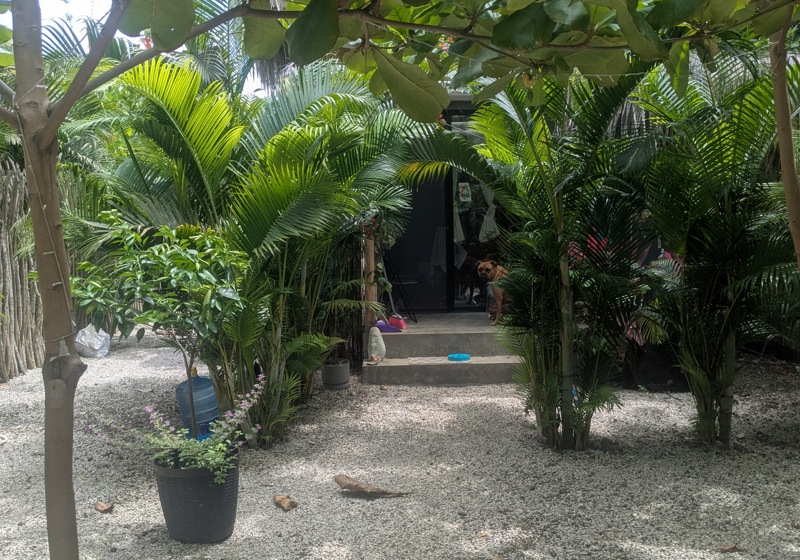 home swap in Ayampe, Ecuador