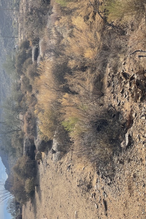 Black mountain Ranch - 12