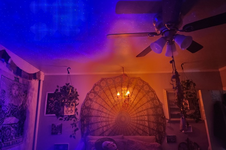 An Artist's Paradise by the Beach in Los Angeles - 9