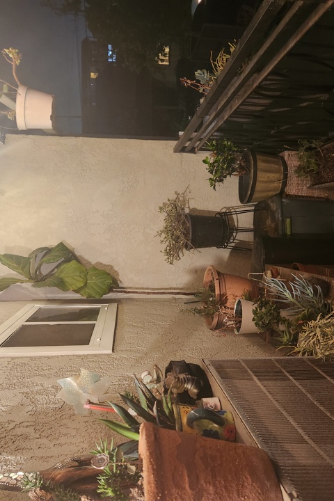 An Artist's Paradise by the Beach in Los Angeles - 12