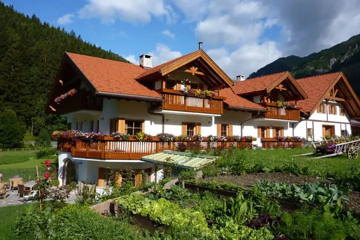 Cozy Mountain Apartment - 4