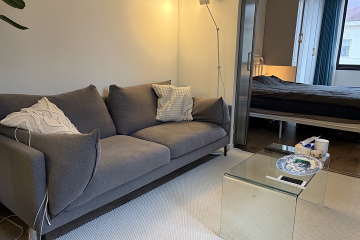 modern one bedroom apartment in the city center - 3