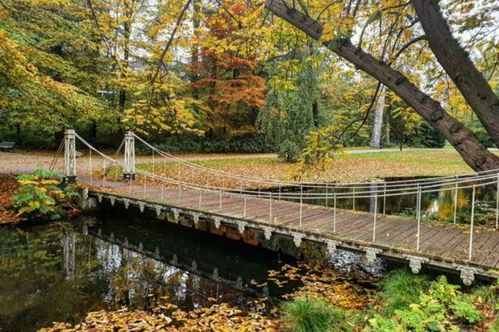 Green, secluded city home, 1 hour from Amsterdam - 24