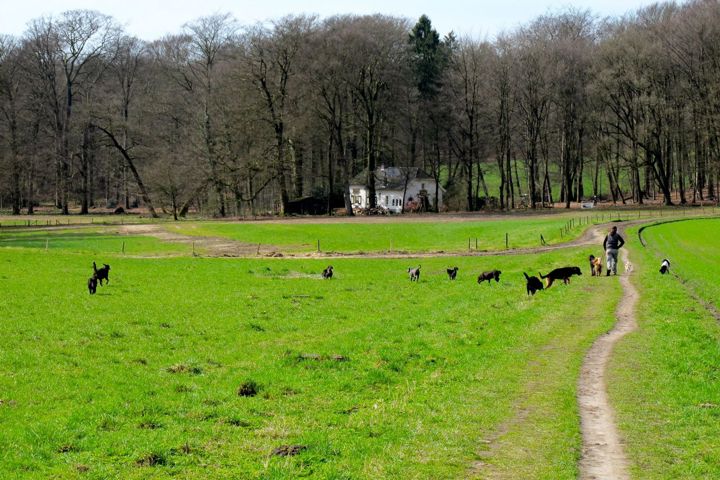 Green, secluded city home, 1 hour from Amsterdam - 25