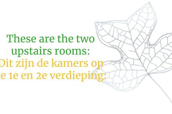 Green, secluded city home, 1 hour from Amsterdam - 9