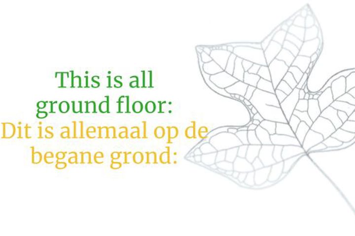 Green, secluded city home, 1 hour from Amsterdam - 1