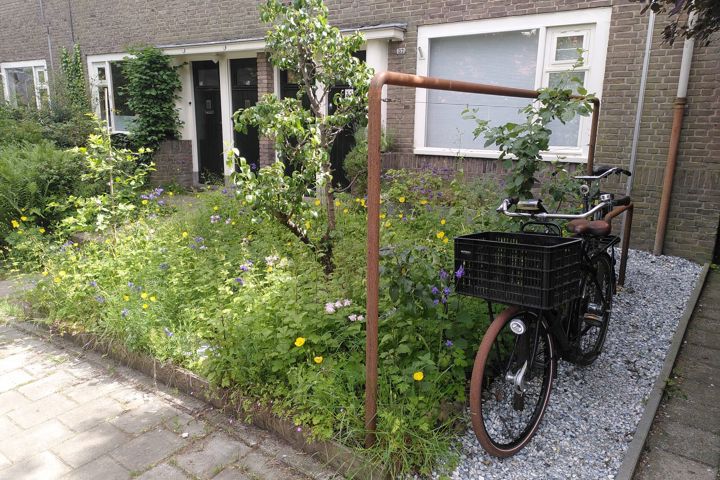 Green, secluded city home, 1 hour from Amsterdam - 21