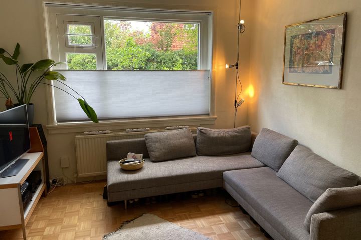 Green, secluded city home, 1 hour from Amsterdam - 3